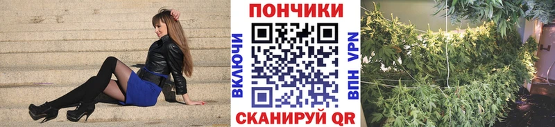 Какие есть наркотики Губкин Марихуана  МЕФ  A PVP  АМФ  Cocaine  Псилоцибиновые грибы  ГАШ 