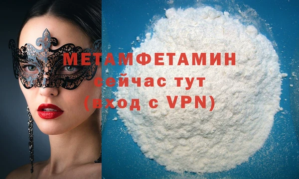 гидра Горняк