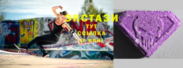 гидра Горняк
