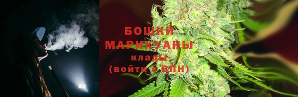 шишки Чита
