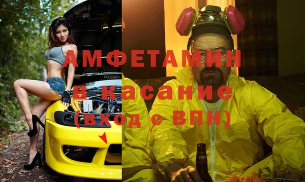 гидра Горняк