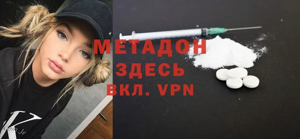 гидра Горняк