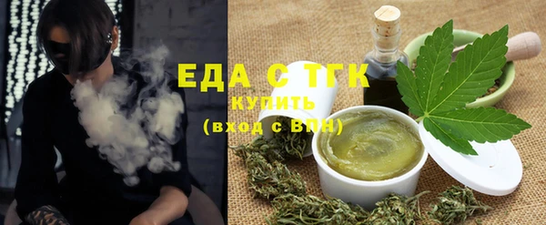 гидра Горняк