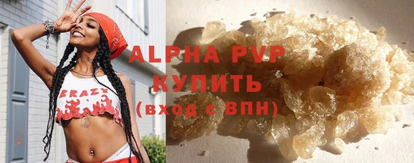ПСИЛОЦИБИНОВЫЕ ГРИБЫ Туринск