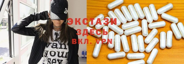 гидра Горняк