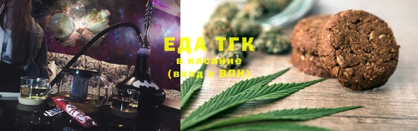 гидра Горняк