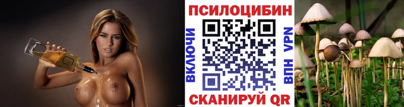 Псилоцибиновые грибы GOLDEN TEACHER  ОМГ ОМГ tor  Губкин  закладка 
