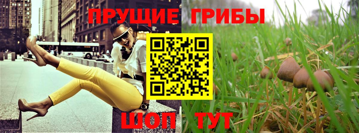 Галлюциногенные грибы ЛСД Губкин