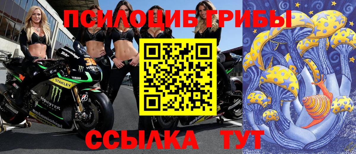 Псилоцибиновые грибы ЛСД  Галлюциногенные грибы Cubensis  Вход с VPN  Губкин 